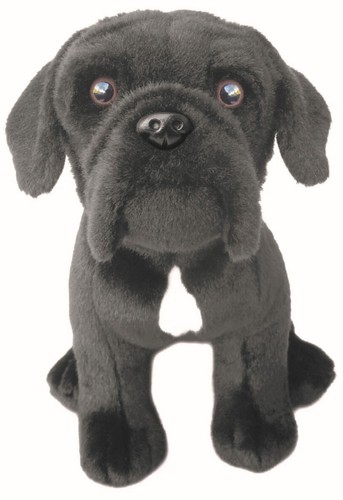 Cane corso cucciolo - cucciolo, peluche